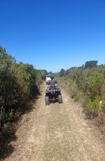 kg about image 365x560